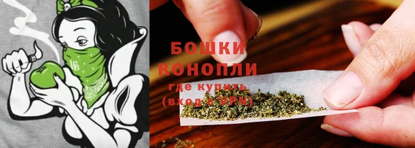 бошки Алексин