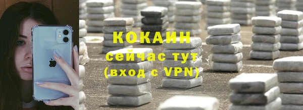 дживик Алзамай
