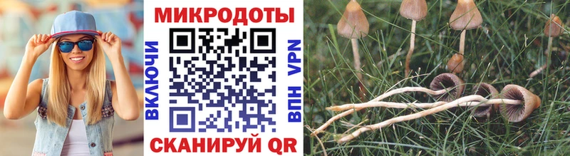 Галлюциногенные грибы мицелий  как найти закладки  ссылка на мегу ТОР  Майкоп 
