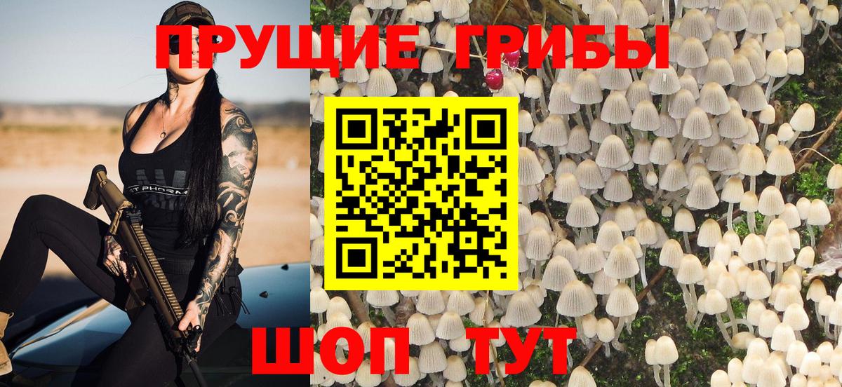 наркота  Галлюциногенные грибы Psilocybe  Майкоп  Вход с VPN  Галлюциногенные грибы Cubensis 