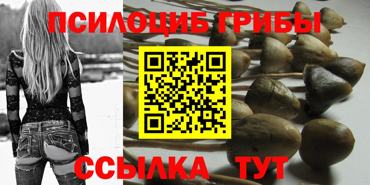 Галлюциногенные грибы Magic Shrooms Майкоп